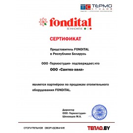 Напольный чугунный газовый котел BALI RTN E 90