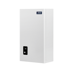 Электрический котел Эван FORWARD 24