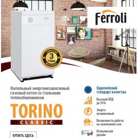 Газовый котел Ferroli Torino 40