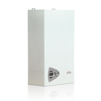 Газовый котел Ferroli Vitabel F24