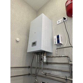 Газовый котел Protherm Рысь Lynx 24