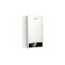 Газовый котел Haier EliteLine 1.24 TW