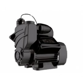 Насосная станция Pumpman TGPB750I с электронным управлением