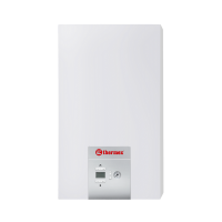 Газовый котел Thermex EuroElite F35