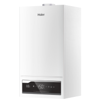 Газовый котел Haier ProLine 2.18Ti