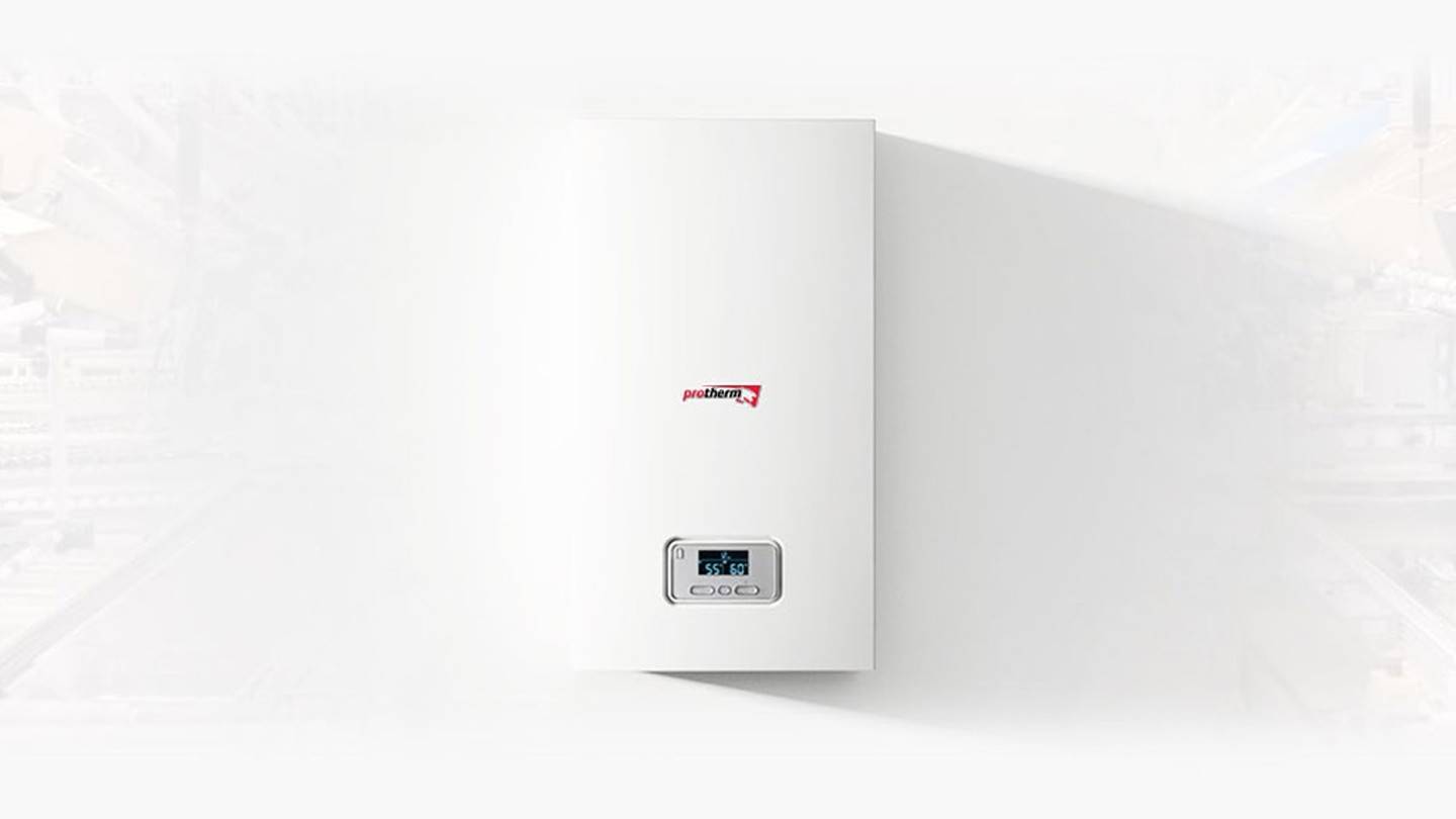 Газовый котел Protherm